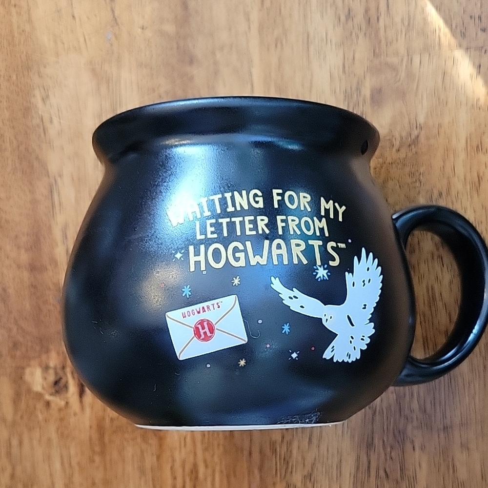 Harry Potter Hogwarts Calderon Coffee or Tea Mug